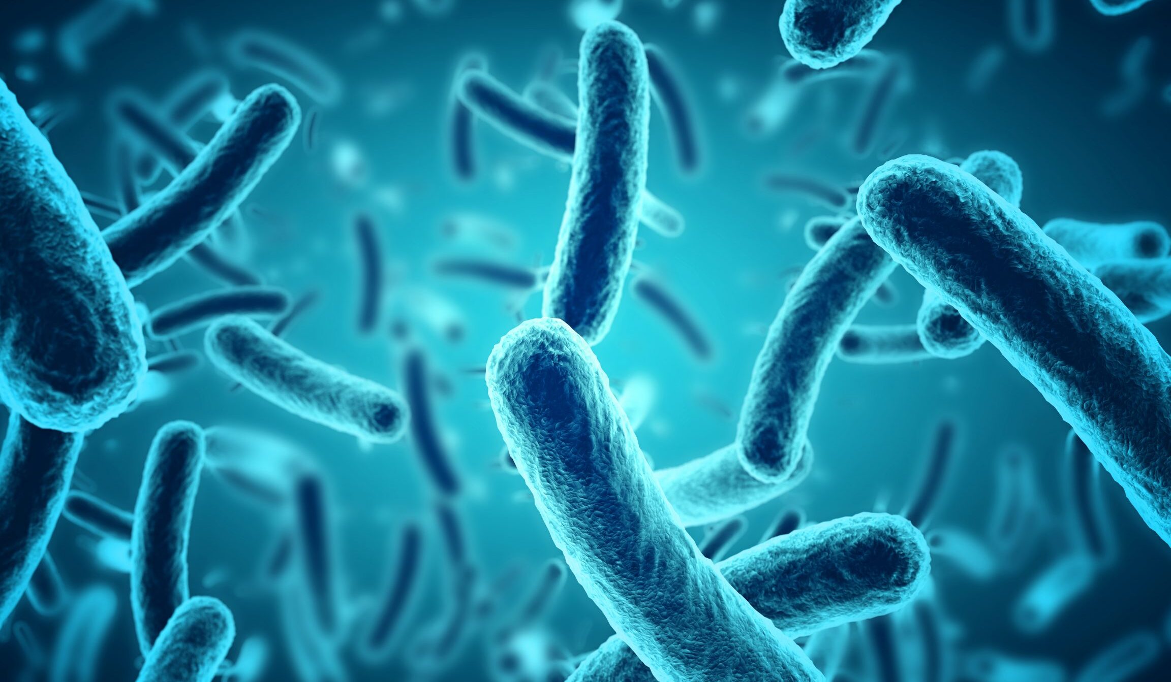 Les bacteries