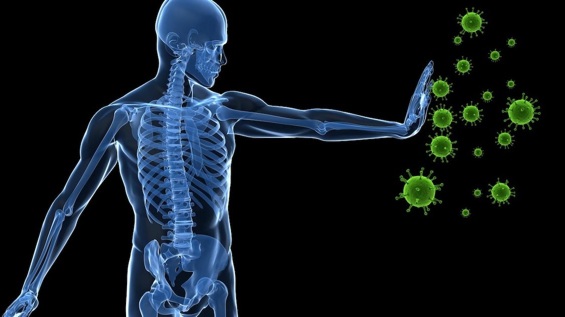 immunitaire