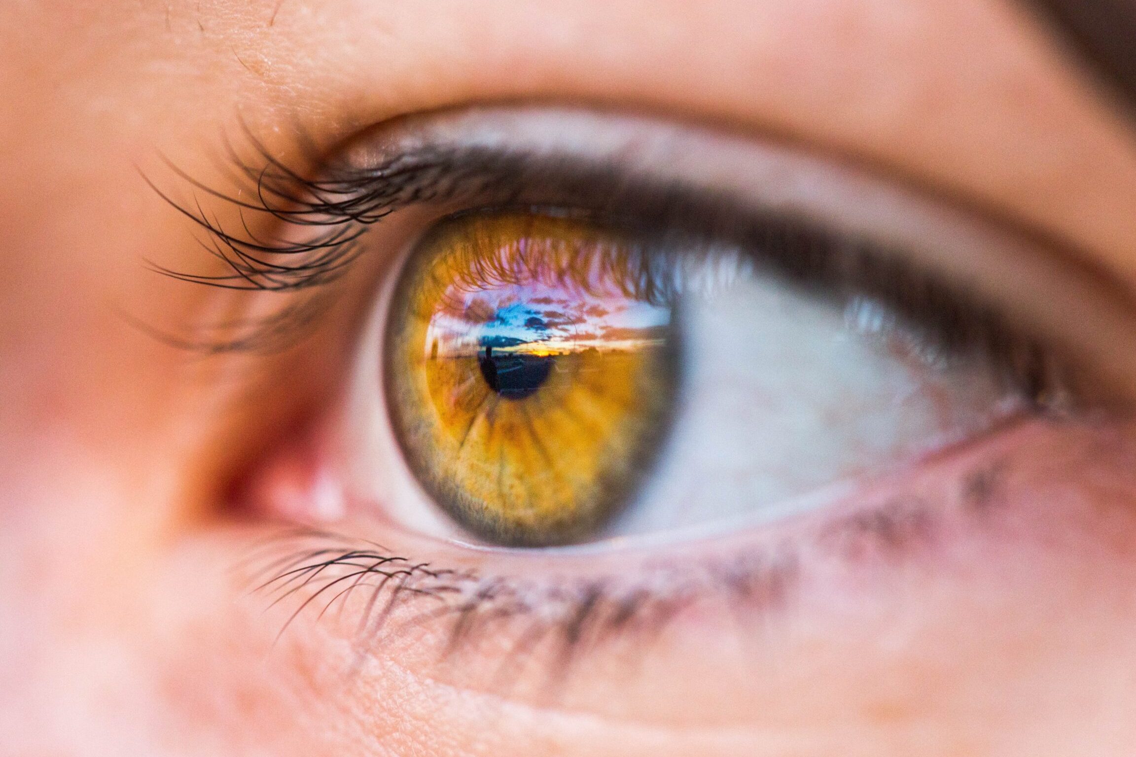 yeux
