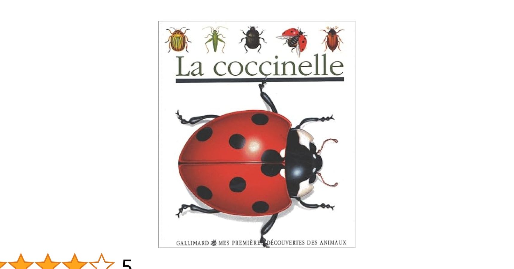coccinelle