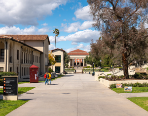 occidental