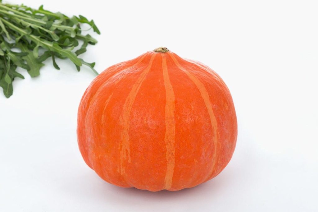 potimarron