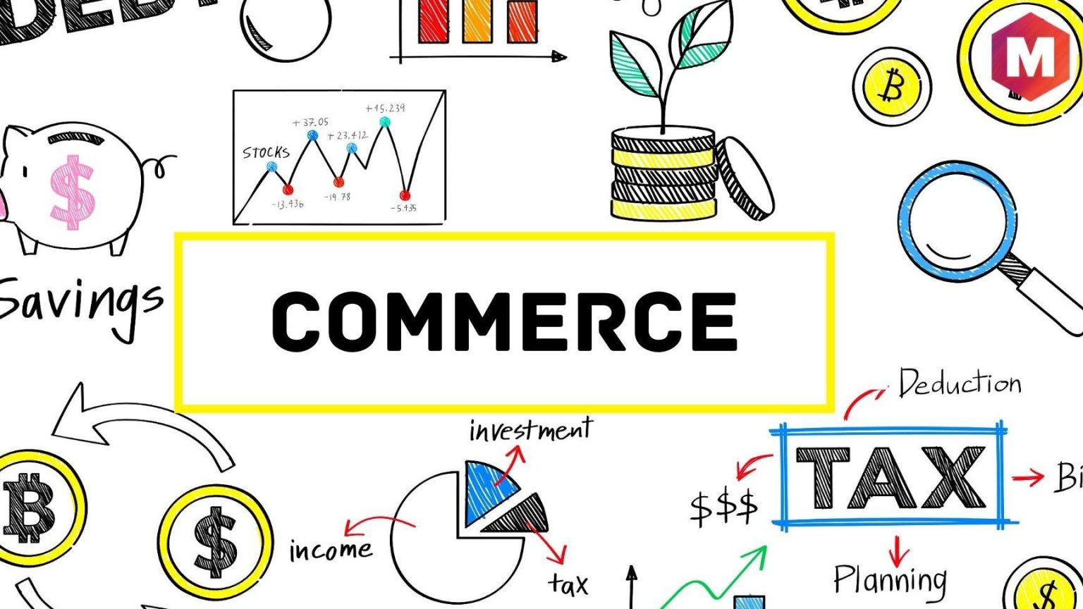 Différence entre IAE et École de Commerce Quelles Sont les — free download